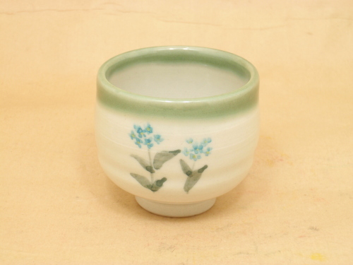 �[�厛�ē����� WSO-SY301�u�F�������ۂ�(�ܖY��)�v