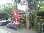 ���p�x���猩���[�厛�q