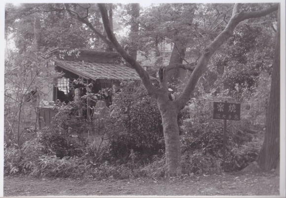 �n�Ɠ����̂ނ�����[�厛�q