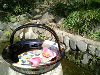 �[�厛�q�I�X�X�����i